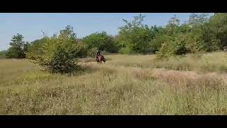 video b46020df 8e5f 4141 93ee 5172221245db 1661627078