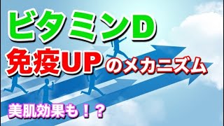 【アムウェイ】ビタミンD【解説】