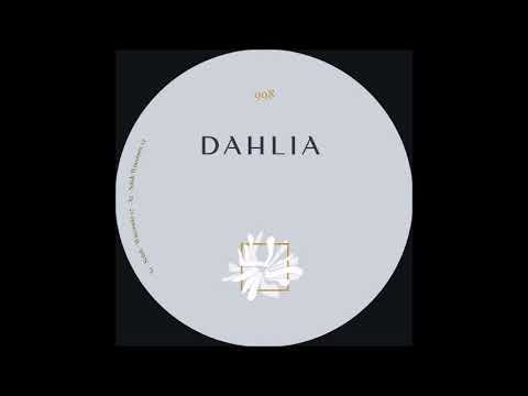 Solah (4) — Solah - Wisconsin13 [DAHLIA998]