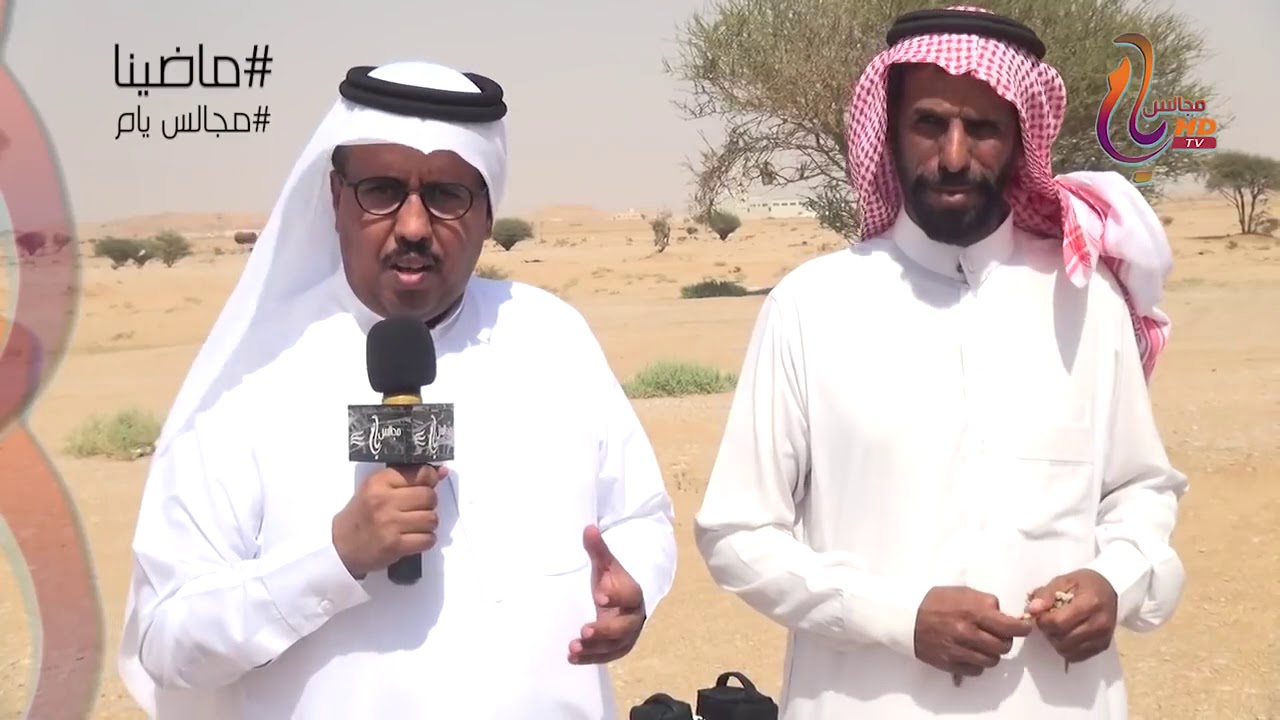 نبذه عن العجليه ( وادي المقرن) لــ قبيلة الخضران