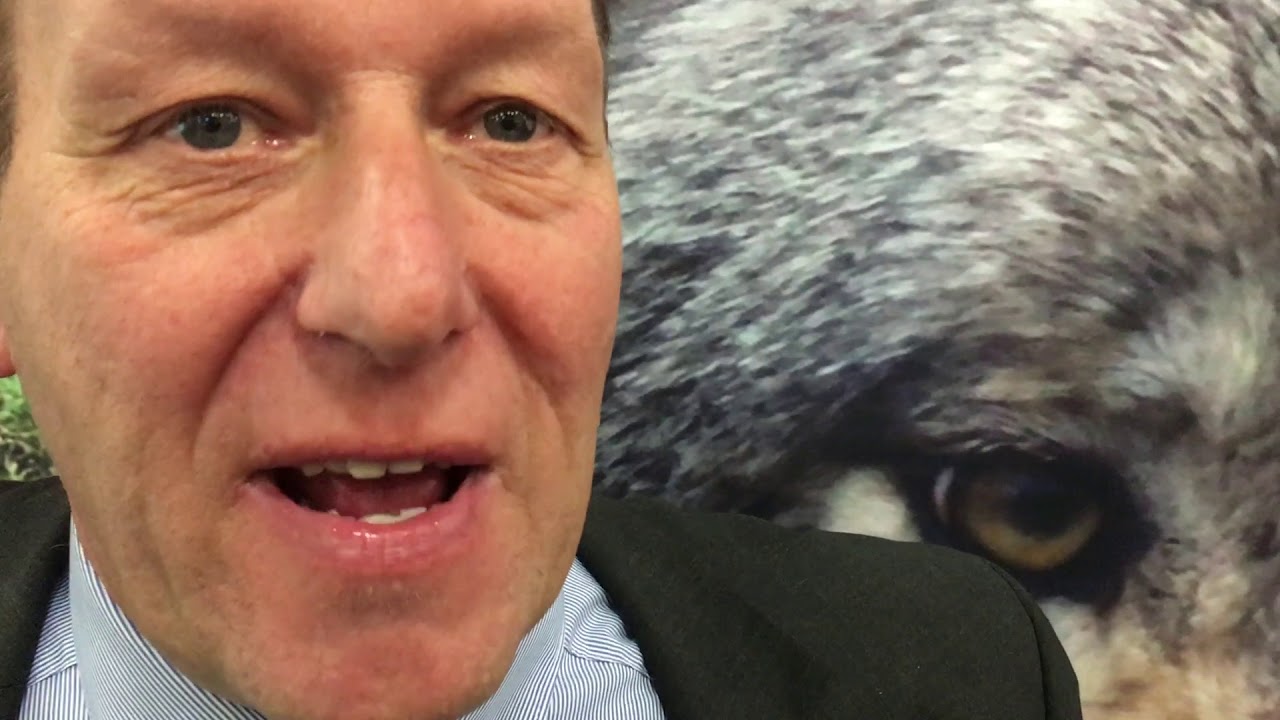 Der Wolf und die Weidetiere