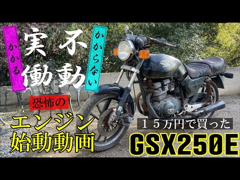 gsx250e ゴキ　エンジン Yahoo!オークション -「gsx250e ゴキ エンジン」(エンジン本体