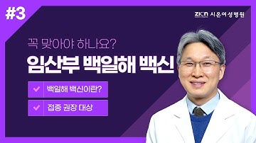 백일해주사(Tdap백신)? 임산부는 꼭 접종해야 하나요?