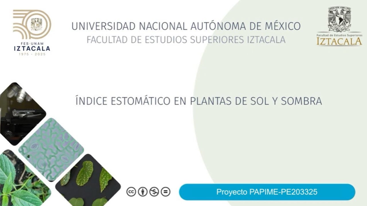 ÍNDICE ESTOMATICO EN PLANTAS DE SOL Y SOMBRA