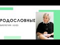 Как решать задачи на родословные? | ЕГЭ 2022 по БИОЛОГИИ