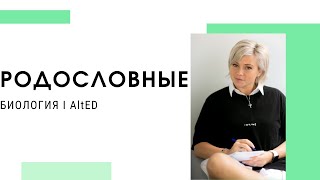 картинка: Как решать задачи на родословные? | ЕГЭ 2022 по БИОЛОГИИ
