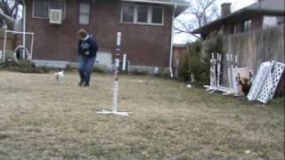 Teaching Skeeter Obstacle Commitment.m4v