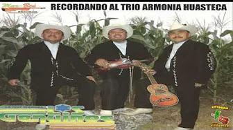 Descarga Youtube youtube