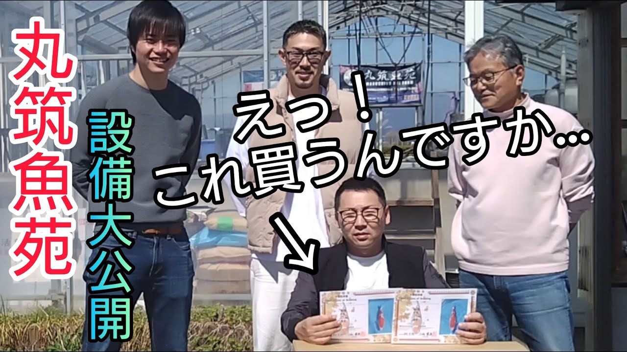 丸筑さんにヒロさんと【最高の紅白に一目惚れ】設備大公開！濾過槽の秘密も。。#錦鯉　#nisikigoi　#ปลาคราฟ　#アクアリウム　# Koi 　濾過槽　自宅池　飼育