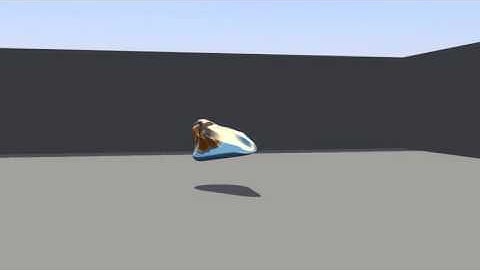 Hover Craft Test
