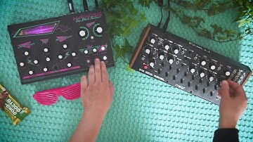 Dreadbox HYPNOSIS + Moog DFAM Jam