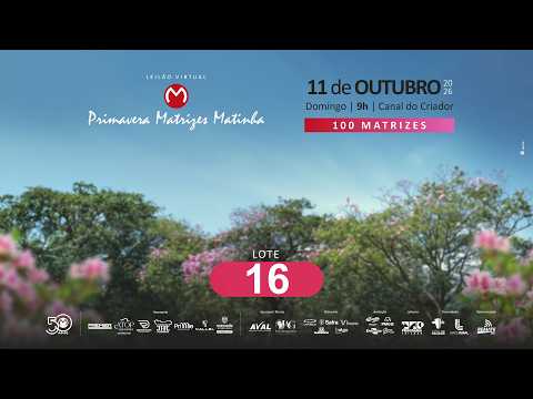 LOTE 16