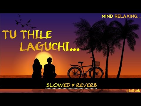 Tu Thile Laguchi  lofi  slowed x reverb  odia trending song   lofi   trend  lofixak