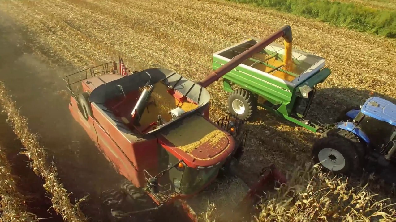 Griggs Farms LLC 2018 Harvest [4k] - YouTube