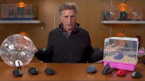 Goodbye wireless mouse, hello hamster.