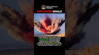 They Blew Up a Whale…😂