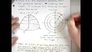 Properties of the Gradient Vector Net Worth