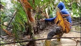 detik-detik penangkapan babi hutan kenak jerat #babihutan #jeratbabihutan  #carajeratbabihutan