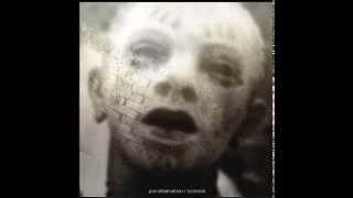 Pain of Salvation - Kingdom of Loss