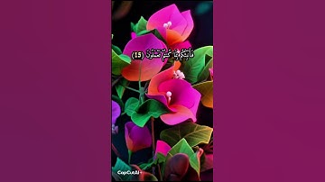 القرآن الكريم سورة لقمان بصوت محمد الفقيه
