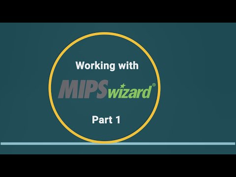 Working with MIPSwizard - Getting Started | Part 1