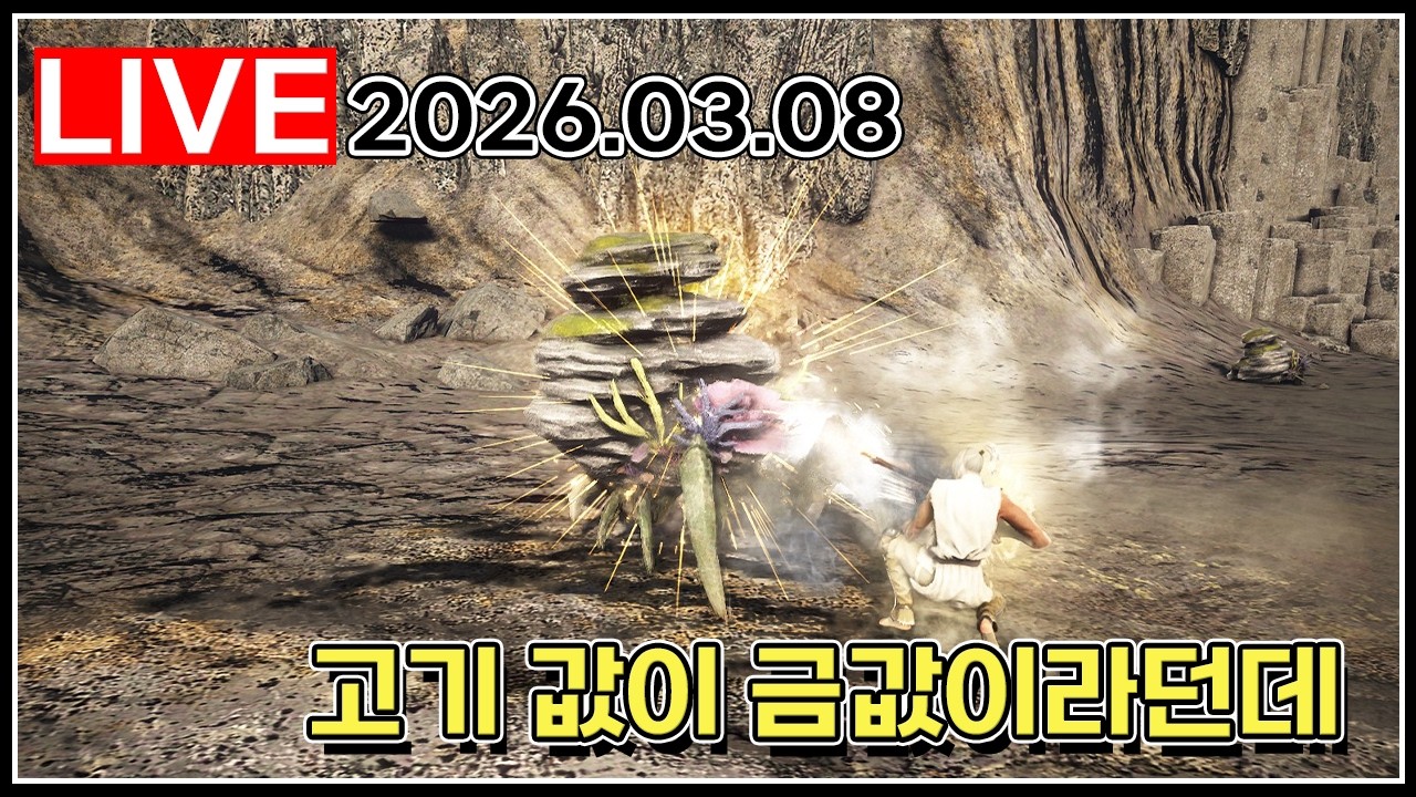 장미 전쟁 후 고기 공급 예정#검은사막_2026.03.08