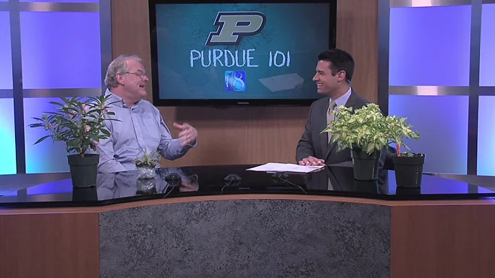 News 18 This Morning's Purdue 101 with Professor P...