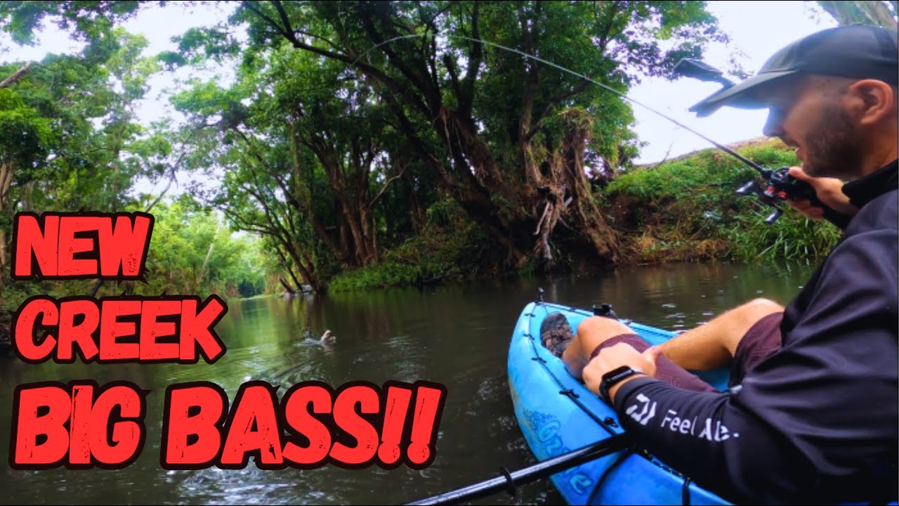 EXPLORING new LOCAL waters | BIG BASS lives here!! #bfs #bassfishing