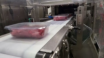 Transparent Plastic Packaging Sealing Integrity Quality Control with A.I.
