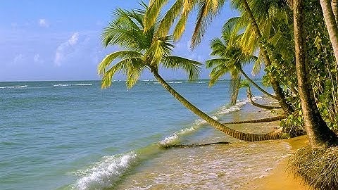 030 سورة الروم الشيخ إبراهيم جمال القرجاوي برواية #روح_عن_يعقوب