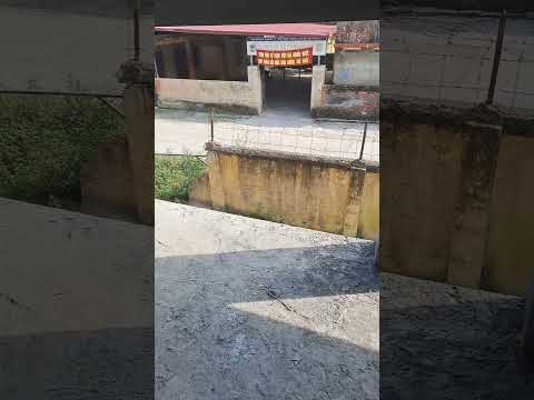 Video Nhà hiệu bộ ngày 18.10.2023 - youtube