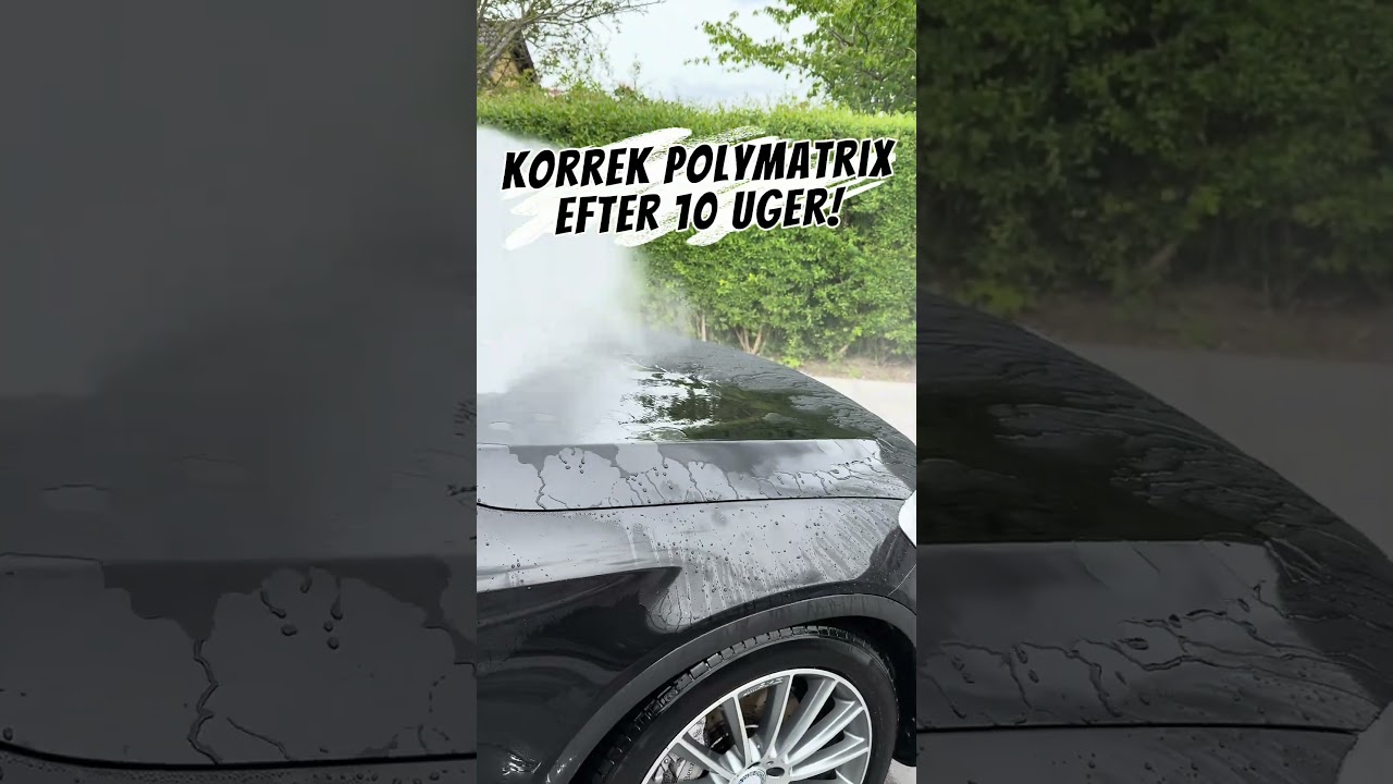 Korrek Polymatrix