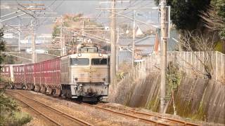 EF81　304　4093レ　伊集院～薩摩松本