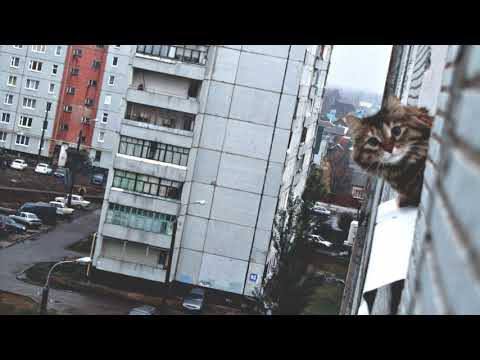 Video: Upokojenec Krasnodar Hrani čudno Skodelico - Alternativni Pogled