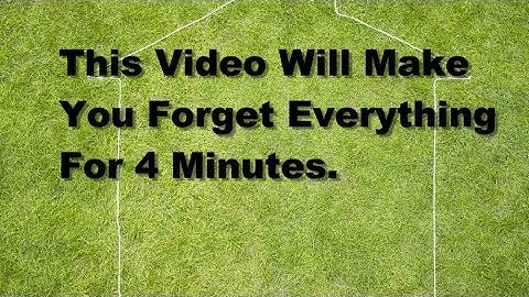 This video will make you forget everything for 4 minutes..