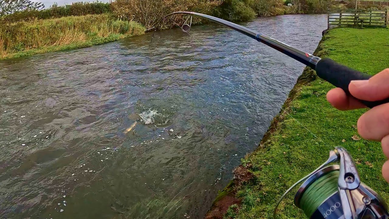 Ловля лосося и морской форели на спиннинг в Камбрии | Много экшена 🎣🎣😁