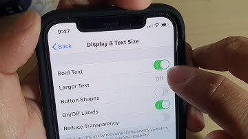 iPhone 11 Pro: How to Enable / Disable On / Off Labels