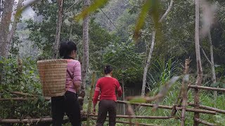 A frail girl is given an abandoned, dilapidated house deep in the forest by an old woman.