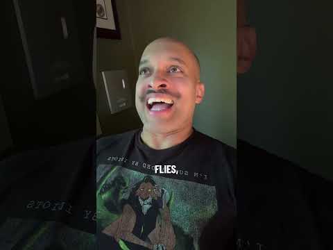 Plague of flies!