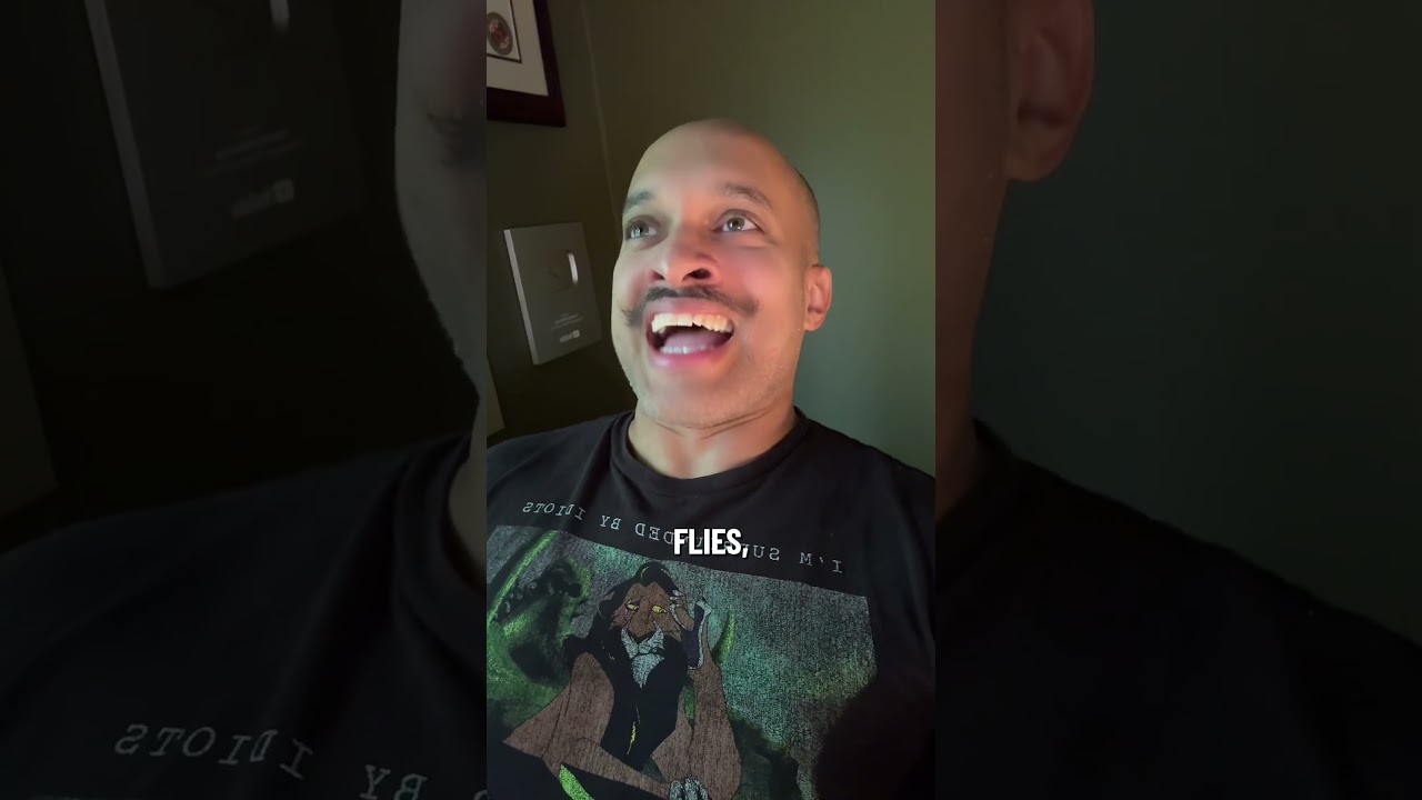 Plague of flies!