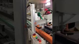 Warsonco delta robot arm and palletizing robot #machine #pallets #robot
