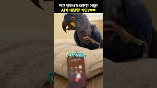 이건 앵무새가 대단한 거임? AI가 대단한 거임?ㅋㅋ