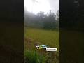 syahdu masya allah #fypシ゚ #funny #viral #sawahpegunungan #hujanturun #hujanrintik #titikterendah