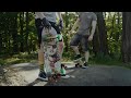 ride in the trees | surfskate