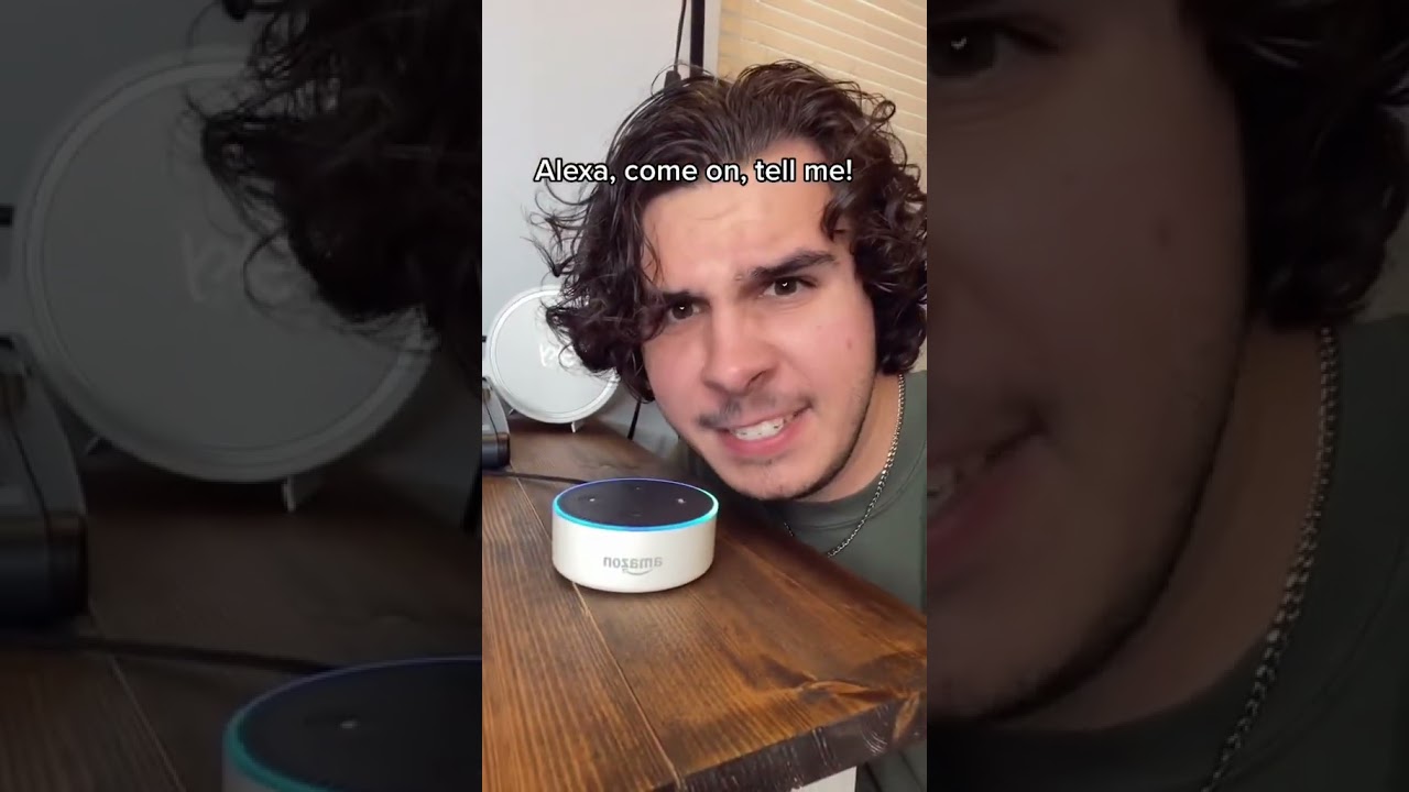 Birds Aren’t Real?! 😳 