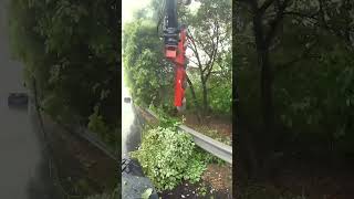 This Sophisticated Machine Cuts Trees #shorts