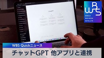 オープンＡＩ 「チャットＧＰＴ」機能を外部企業に開放【WBS】（2023年3月2日）