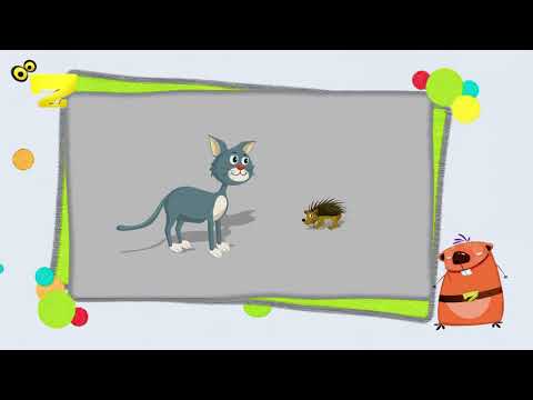 Zarok TV -