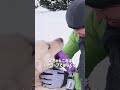 コールは獣医も褒めるマッチョなゴールデンレトリバー #遊びもトレーニングもほどほどが大事😊🐾