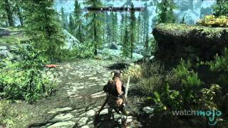 The Elder Scrolls V: Skyrim - 7 Things You Should Know